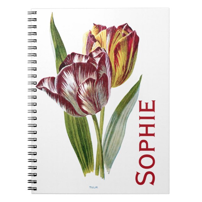 Vintage Tulpe-Blumen Personnalised Notizblock (Vorderseite)