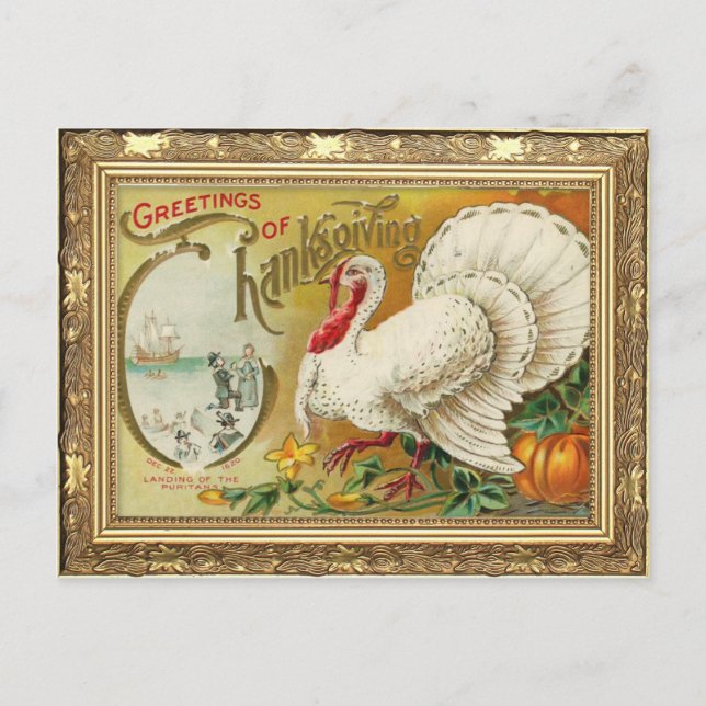 Vintage Türkei und Pumpkin-Erntedank Postkarte (Vorderseite)