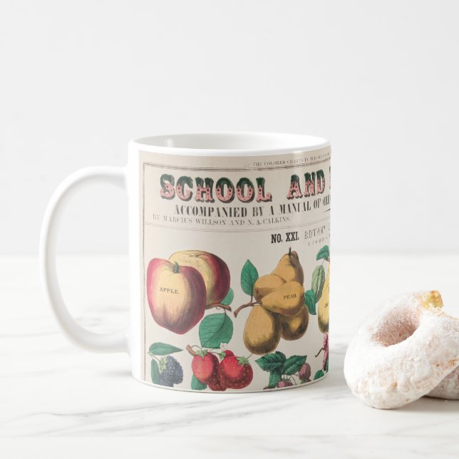 Vintage Übersicht über die botanische Bildung der  Kaffeetasse (Mit Donut)