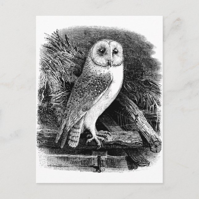 Vintage Uhillustrierung Postkarte (Vorderseite)