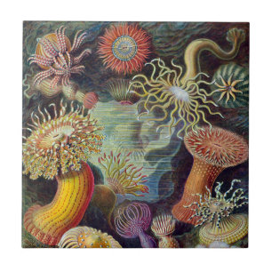 Vintage Unterwasser Seeanemonen von Ernst Haeckel Fliese