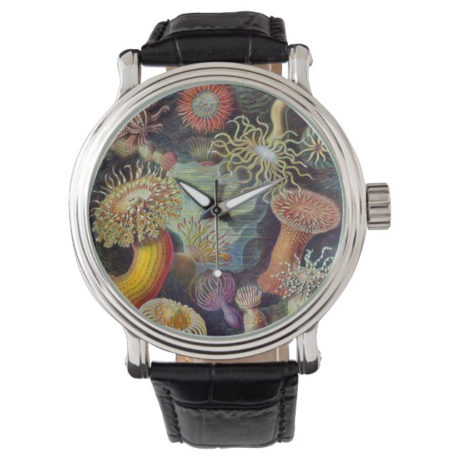 Vintage Unterwasserseelemone von Ernst Haeckel Armbanduhr (Vorderseite)