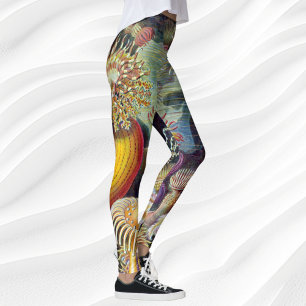 Vintage Unterwasserseelemone von Ernst Haeckel Leggings