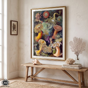 Vintage Unterwasserseelemone von Ernst Haeckel Poster