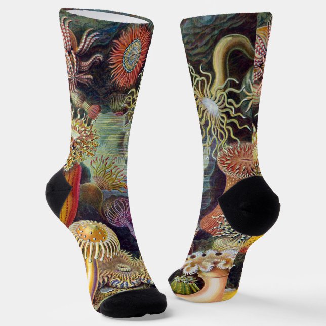 Vintage Unterwasserseelemone von Ernst Haeckel Socken (Gewinkelt)