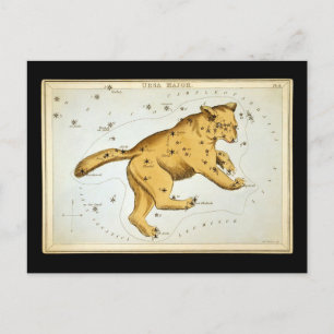 Vintage Ursa Major Bär Postkarte