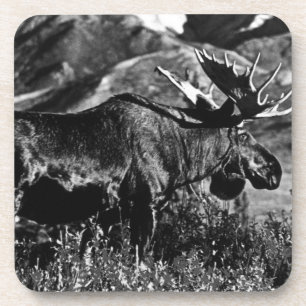 Vintage USA Alaska-Bulle Getränkeuntersetzer