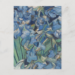 Vintage Van Gogh Schwertlilien Postkarte