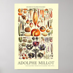 Vintage Vegetable Wall Art by Adolphe Millot Poster