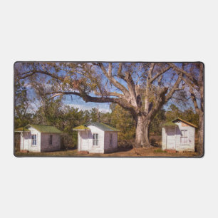 Vintage Vieux Florida Rustique Motel Cabine