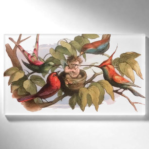 Vintage viktorianische Feen-Kunst Richard Doyle Fe Namenschild