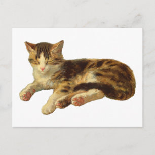 Vintage viktorianische Katzen-Schlaf-Illustrations Postkarte