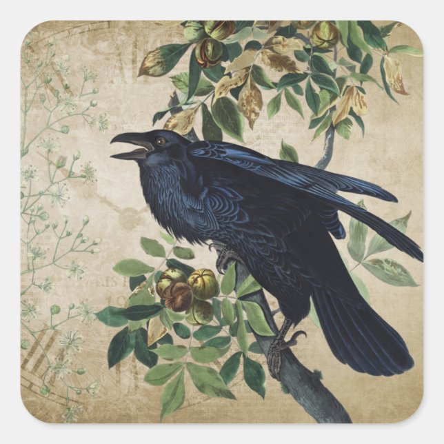 Vintage Viktorianische Raven Decoupage - Gotisches Quadratischer Aufkleber (Vorderseite)