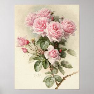 Vintage Viktorianische romantische Rose Poster