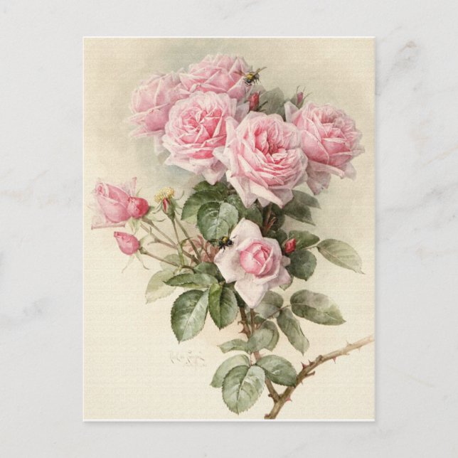 Vintage Viktorianische romantische Rose Postkarte (Vorderseite)