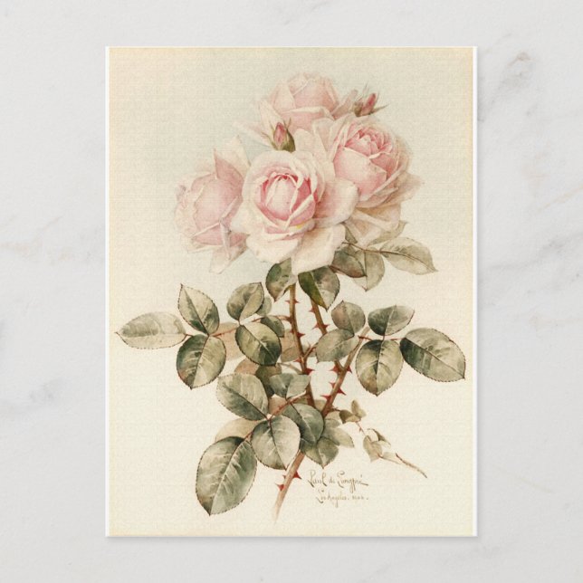 Vintage Viktorianische romantische Rose Postkarte (Vorderseite)