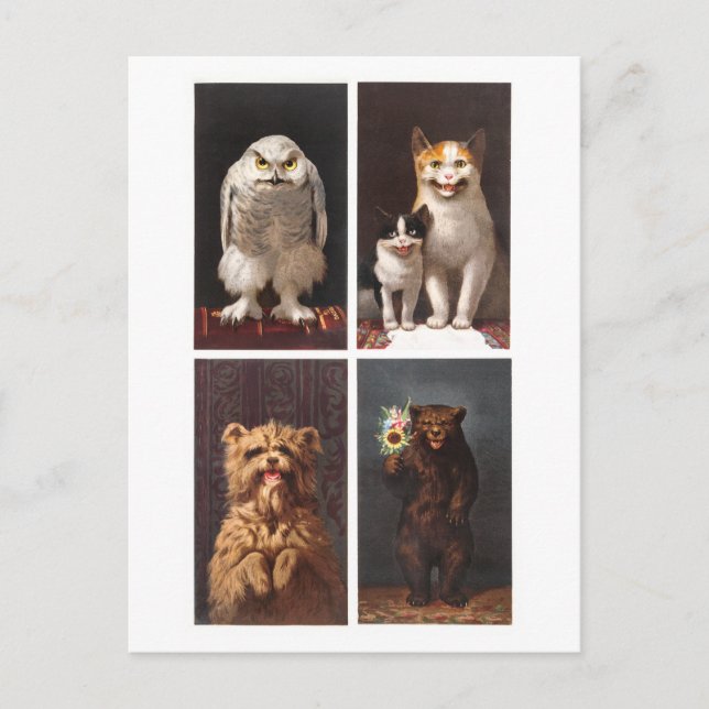 Vintage  Viktorianische Tiere Postkarte (Vorderseite)