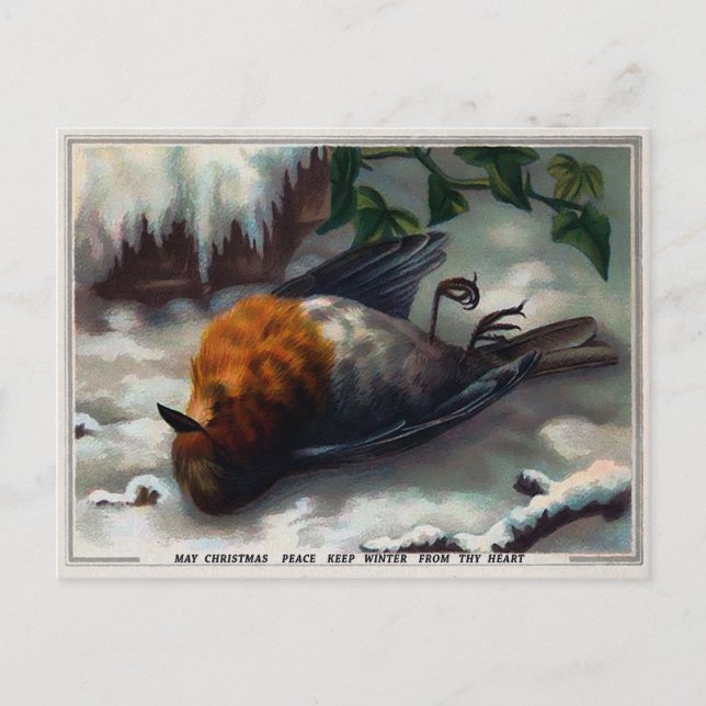 Vintage Viktorianische Tote Bird Weihnachten Postkarte (Vorderseite)