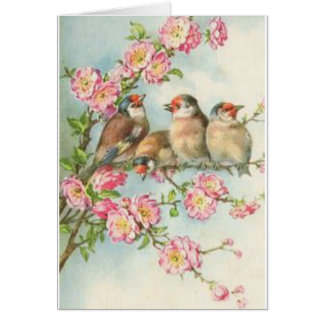 Vintage Vögel