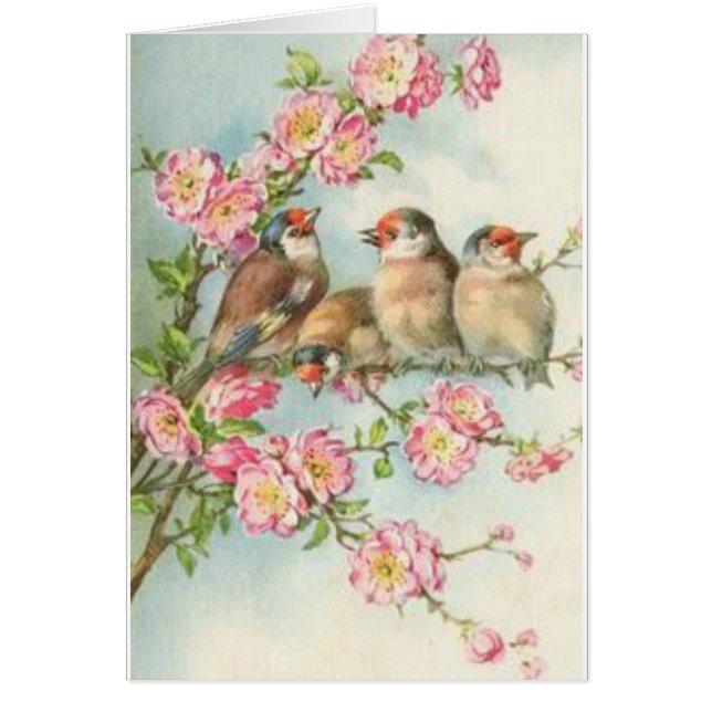 Vintage Vögel (Vorne)