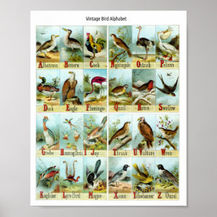 Vintage Vogel Alphabet Poster