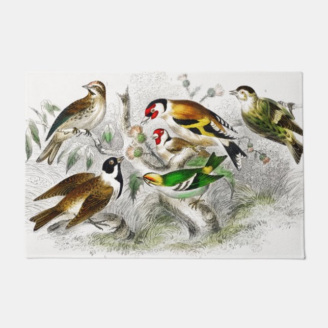 Vintage Vögel Alte Illustration - Tiere Kunst Fußmatte (Vorderseite)
