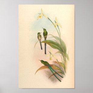 Vintage Vögel Art Bird Print Blume Poster