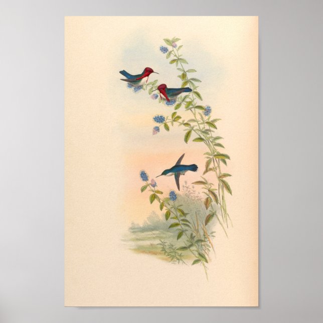 Vintage Vögel Art Bird Print Blume Poster (Vorne)