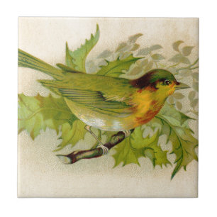 Vintage Vogel Fliese