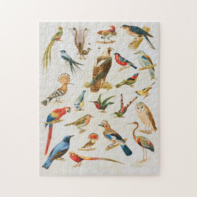 Vintage Vögel Illustration Vogelbeobachtung Lover  (Vertikal)