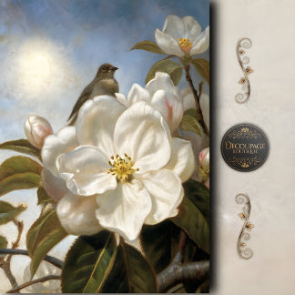 Vintage-Vogel-Magnolie-Blüten-Decoupage Seidenpapier
