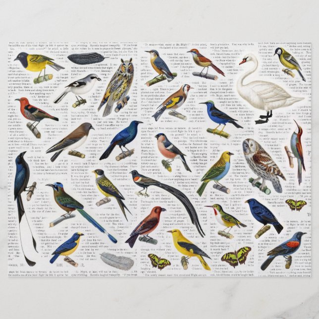 Vintage Vögel (ohne KI) auf Zeitungspapier (Vorderseite)