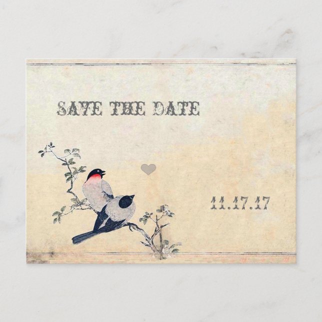 Vintage Vögel Save the Date Ankündigungspostkarte (Vorderseite)