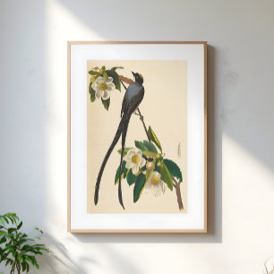 Vintage Vogel Schwalbenschwanz-Blumenillustration Poster