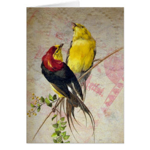 Vintage Vogel-Spitze-Beschaffenheit