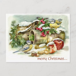 Vintage Vögel und Äpfel im Winter Weihnachten Postkarte