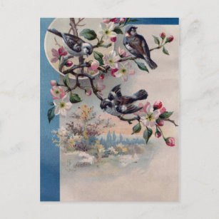 Vintage Vögel und Blüten Postkarte