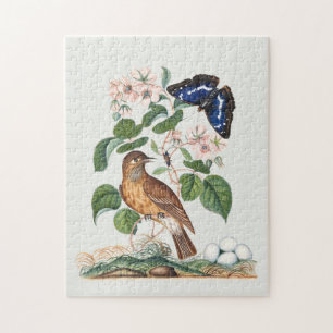 Vintage-Vogel- und botanischer Blumenkunst-Druck