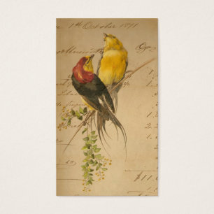 Vintage Vögel und Buchhaltungs-Papier
