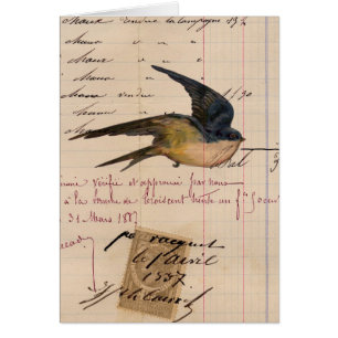 Vintage Vogel-und Hauptbuch-Papier-Digital-Kunst