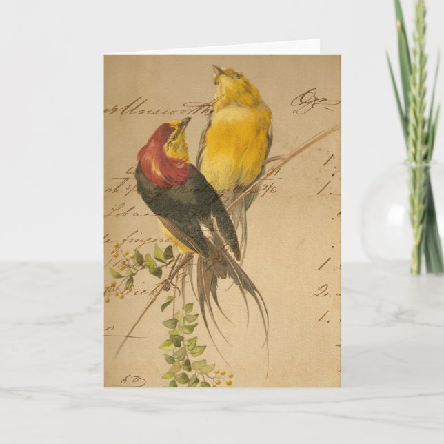 Vintage Vögel und Hauptbuch-Papier, Weihnachten (Vorderseite)