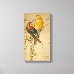 Vintage Vögel und Papiere Leinwanddruck
