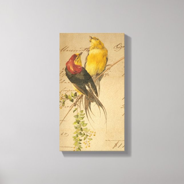 Vintage Vögel und Papiere Leinwanddruck (Vorderseite)