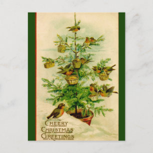 Vintage-Vögel-Weihnachts-Grüße Postkarte