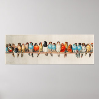 Vintage Vogelausgabe Poster