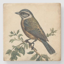 Vintage Vogelausgabe Steinuntersetzer