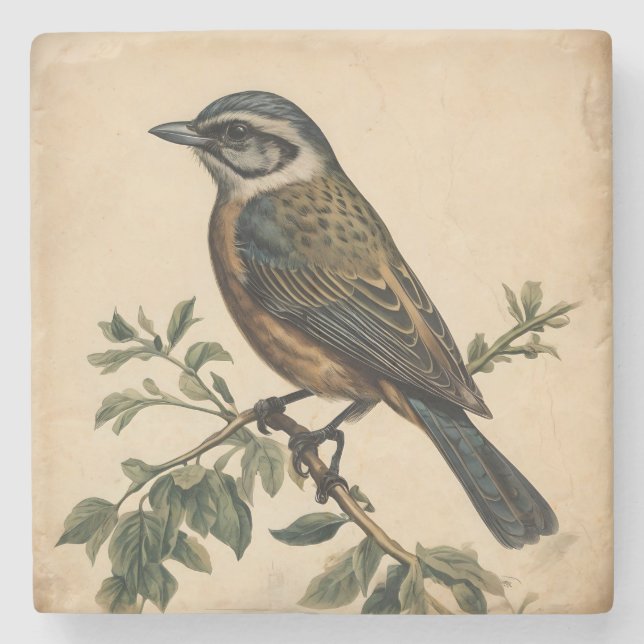 Vintage Vogelausgabe Steinuntersetzer (Vorderseite)