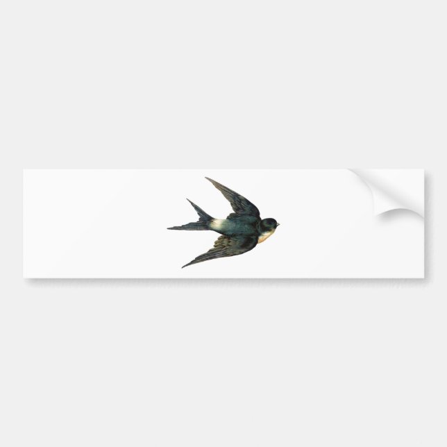 Vintage Vogeldarstellung Autoaufkleber (Vorne)