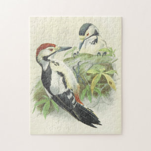 Vintage Vogeldarstellung Jigsaw Puzzle