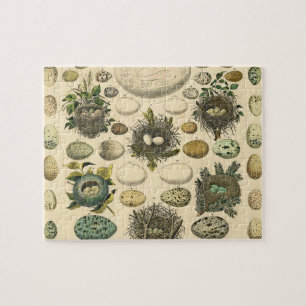 Vintage-Vogelei-Nest-Kunstmalerei-Eier